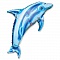 Дельфин синий